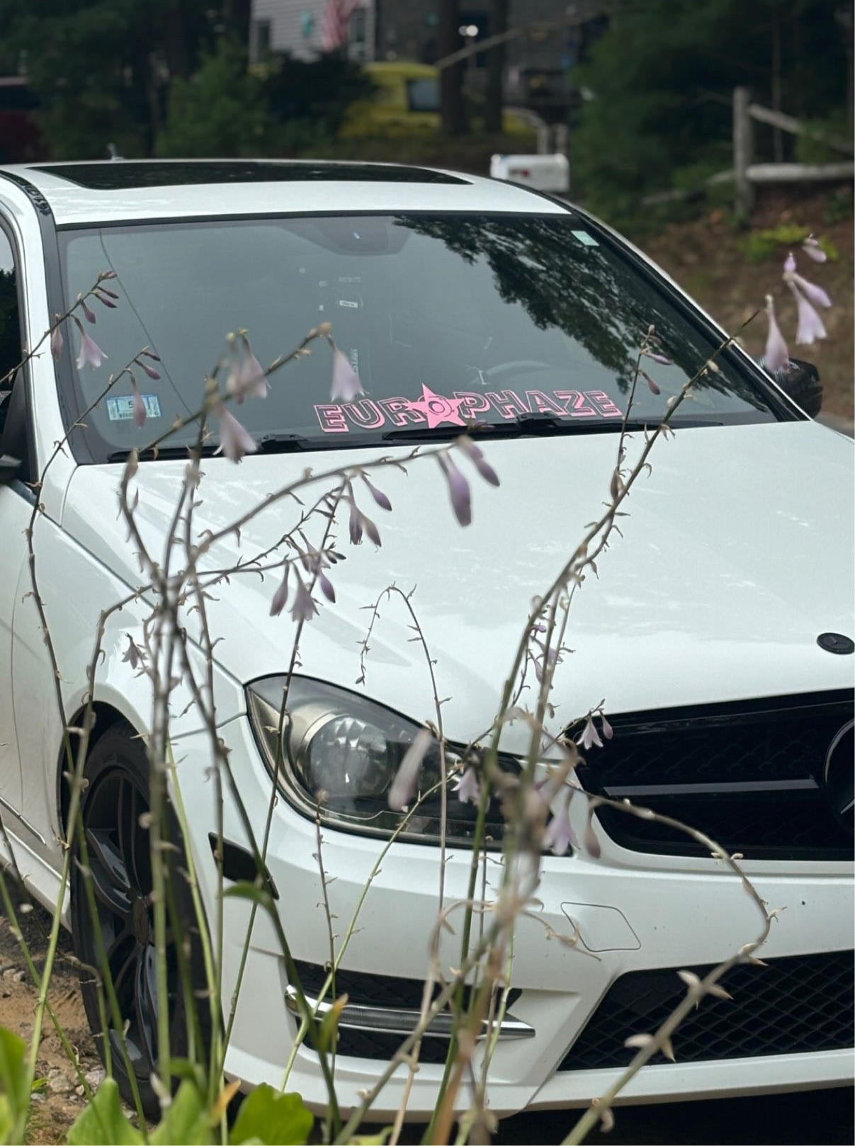 EuroPhaze Star Windshield Banner